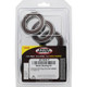 Pivot Works Honda Wheel Bearing Kit Premium Bearings - 25-1036-P Photo - Primary
