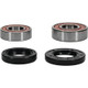 Pivot Works Yamaha Wheel Bearing Kit Premium Bearings - 25-1060-P Photo - Primary