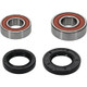 Pivot Works Yamaha Wheel Bearing Kit Premium Bearings - 25-1060-P Photo - Primary