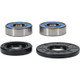 Pivot Works Honda Wheel Bearing Kit Premium Bearings - 25-1073-P Photo - Primary