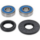 Pivot Works Honda Wheel Bearing Kit Premium Bearings - 25-1073-P Photo - Primary