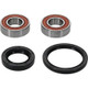 Pivot Works Honda Wheel Bearing Kit Premium Bearings - 25-1076-P Photo - Primary