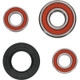 Pivot Works Suzuki Wheel Bearing Kit Premium Bearings - 25-1096-P Photo - Primary
