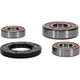 Pivot Works Suzuki Wheel Bearing Kit Premium Bearings - 25-1096-P Photo - Primary