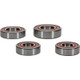 Pivot Works Suzuki Wheel Bearing Kit Premium Bearings - 25-1100-P Photo - Primary