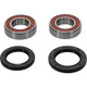 Pivot Works Kawasaki Wheel Bearing Kit Premium Bearings - 25-1102-P Photo - Primary