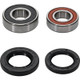 Pivot Works Honda Wheel Bearing Kit Premium Bearings - 25-1113-P Photo - Primary