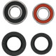 Pivot Works Honda Wheel Bearing Kit Premium Bearings - 25-1113-P Photo - Primary