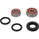Pivot Works Kawasaki Wheel Bearing Kit Premium Bearings - 25-1179-P Photo - Primary