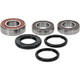 Pivot Works Kawasaki Wheel Bearing Kit Premium Bearings - 25-1193-P Photo - Primary