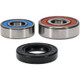 Pivot Works Yamaha Wheel Bearing Kit Premium Bearings - 25-1200-P Photo - Primary
