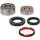 Pivot Works Honda Wheel Bearing Kit Premium Bearings - 25-1203-P Photo - Primary