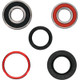 Pivot Works Honda Wheel Bearing Kit Premium Bearings - 25-1204-P Photo - Primary