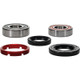 Pivot Works Honda Wheel Bearing Kit Premium Bearings - 25-1204-P Photo - Primary