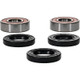 Pivot Works BMW, Honda, Kawasaki, Suzuki, Yamaha Wheel Bearing Kit Premium Bearings - 25-1219-P Photo - Primary