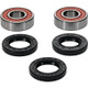 Pivot Works BMW, Honda, Kawasaki, Suzuki, Yamaha Wheel Bearing Kit Premium Bearings - 25-1219-P Photo - Primary