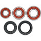 Pivot Works Kawasaki Wheel Bearing Kit Premium Bearings - 25-1234-P Photo - Primary