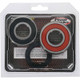Pivot Works Honda Wheel Bearing Kit Premium Bearings - 25-1237-P Photo - Primary