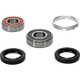 Pivot Works Honda Wheel Bearing Kit Premium Bearings - 25-1241-P Photo - Primary