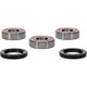 Pivot Works Suzuki Wheel Bearing Kit Premium Bearings - 25-1243-P Photo - Primary