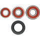 Pivot Works Yamaha Wheel Bearing Kit Premium Bearings - 25-1247-P Photo - Primary