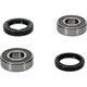 Pivot Works Kawasaki Wheel Bearing Kit Premium Bearings - 25-1253-P Photo - Primary