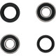 Pivot Works Kawasaki Wheel Bearing Kit Premium Bearings - 25-1253-P Photo - Primary