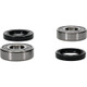 Pivot Works Kawasaki Wheel Bearing Kit Premium Bearings - 25-1253-P Photo - Primary