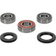 Pivot Works Suzuki Wheel Bearing Kit Premium Bearings - 25-1256-P Photo - Primary