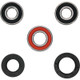 Pivot Works Suzuki Wheel Bearing Kit Premium Bearings - 25-1256-P Photo - Primary
