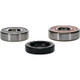 Pivot Works Honda Wheel Bearing Kit Premium Bearings - 25-1261-P Photo - Primary