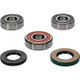 Pivot Works Yamaha Wheel Bearing Kit Premium Bearings - 25-1264-P Photo - Primary