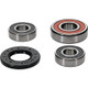 Pivot Works Suzuki Wheel Bearing Kit Premium Bearings - 25-1270-P Photo - Primary
