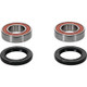 Pivot Works BMW/Gas-Gas/Husaberg/Husqvarna/Kawasaki/KTM/Suzuki Wheel Bearing Kit Premium Bearings - 25-1273-P Photo - Primary