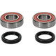 Pivot Works Cub Cadet, Kawasaki Wheel Bearing Kit Premium Bearings - 25-1274-P Photo - Primary