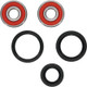 Pivot Works Honda Wheel Bearing Kit Premium Bearings - 25-1307-P Photo - Primary