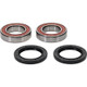 Pivot Works Adley, KAYO, Yamaha Wheel Bearing Kit Premium Bearings - 25-1314-P Photo - Primary