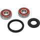 Pivot Works Yamaha Wheel Bearing Kit Premium Bearings - 25-1316-P Photo - Primary
