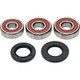 Pivot Works Yamaha Wheel Bearing Kit Premium Bearings - 25-1340-P Photo - Primary