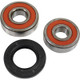 Pivot Works Honda Wheel Bearing Kit Premium Bearings - 25-1342-P Photo - Primary