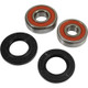 Pivot Works Honda Wheel Bearing Kit Premium Bearings - 25-1343-P Photo - Primary