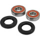 Pivot Works Honda Wheel Bearing Kit Premium Bearings - 25-1343-P Photo - Primary