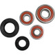 Pivot Works Suzuki, Yamaha Wheel Bearing Kit Premium Bearings - 25-1344-P Photo - Primary