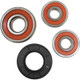 Pivot Works Suzuki Wheel Bearing Kit Premium Bearings - 25-1347-P Photo - Primary