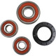 Pivot Works Kawasaki Wheel Bearing Kit Premium Bearings - 25-1349-P Photo - Primary