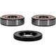 Pivot Works Indian Wheel Bearing Kit Premium Bearings - 25-1354-P Photo - Primary