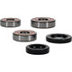Pivot Works Honda Wheel Bearing Kit Premium Bearings - 25-1355-P Photo - Primary