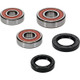 Pivot Works Honda Wheel Bearing Kit Premium Bearings - 25-1355-P Photo - Primary