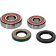Pivot Works Yamaha Wheel Bearing Kit Premium Bearings - 25-1356-P Photo - Primary