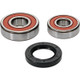 Pivot Works Honda Wheel Bearing Kit Premium Bearings - 25-1361-P Photo - Primary